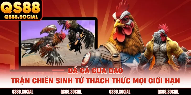 Đá Gà Cựa Dao - Trận Chiến Sinh Tử Thách Thức Mọi Giới Hạn