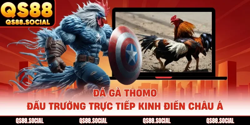 Đá Gà Thomo - Đấu Trường Trực Tiếp Kinh Điển Châu Á