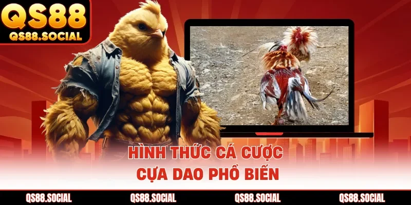 Hình thức cá cược cựa dao phổ biến