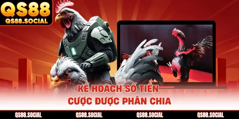 Kế hoạch số tiền cược được phân chia