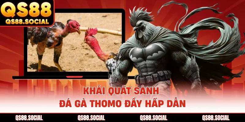 Khái quát sảnh đá gà Thomo đầy hấp dẫn