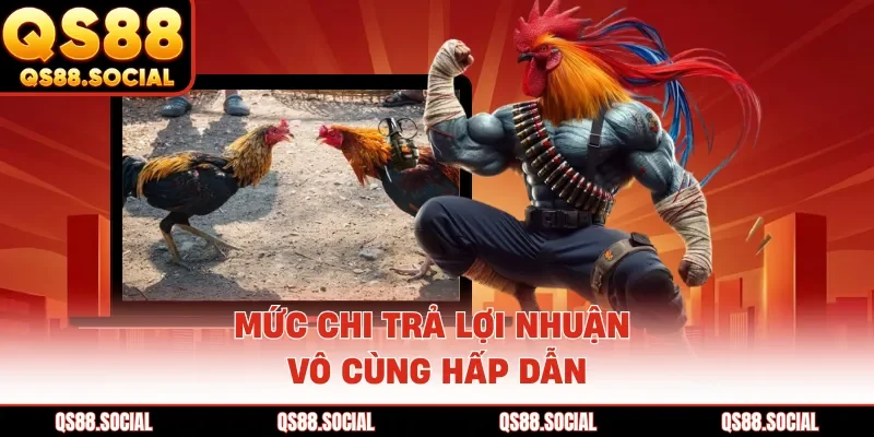 Mức chi trả lợi nhuận vô cùng hấp dẫn