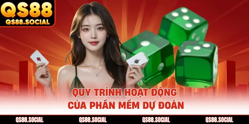 Quy trình hoạt động của phần mềm dự đoán