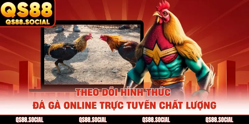 Theo dõi trạng thái thi đấu của chiến kê